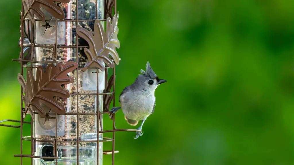 Mwongozo wa vitendo kwa wauzaji Tanzania: jinsi ya kutafuta na kuajiri creators wa Pinterest kutoka Bangladesh kwa kampeni za uendelevu, hatua kwa hatua, na mifano ya ushirikiano.