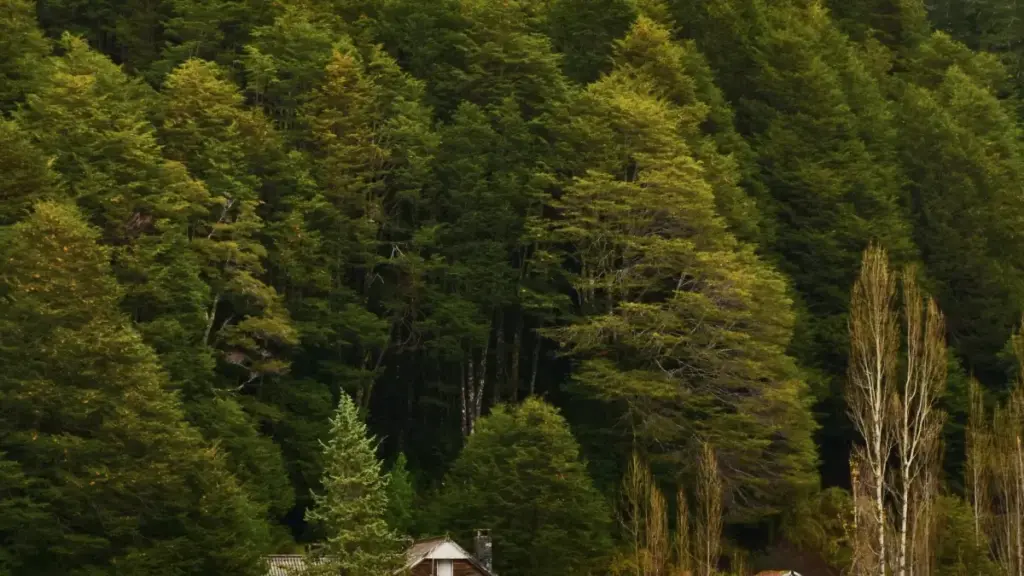 Mwongozo wa hatua kwa wauzaji Tanzania: jinsi ya kutafuta creators wa Ivory Coast, mbadala wa Lazada, mbinu za kuboresha brand sentiment na jinsi ya kupima matokeo.