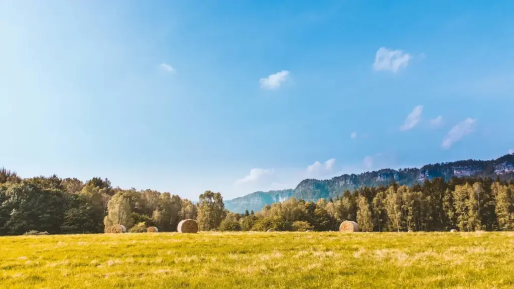 Mwongozo wa muundaji wa Tanzania kuhusu jinsi ya kuwafikia brand za Armenia kwenye Netflix kwa kuleta game sponsorships, mikakati ya pitch, na hatari za sensiti.