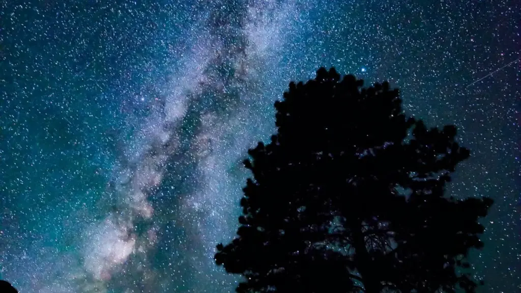 Njia za kimkakati wa kuwafikia brand za Montenegro kwenye TikTok ili kukuza wimbo kupitia challenges; vidokezo vya outreach, hatari za soko, na jinsi ya kufanya deal kutoka Tanzania.