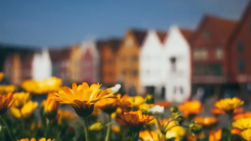 Mwongozo halisi kwa creators wa Tanzania: mbinu za kuwasiliana na brand za Thailand kwenye Douyin, mifano ya kampeni (Cremo), na mikakati za kujihakikishia kazi ya reviews yenye thamani.