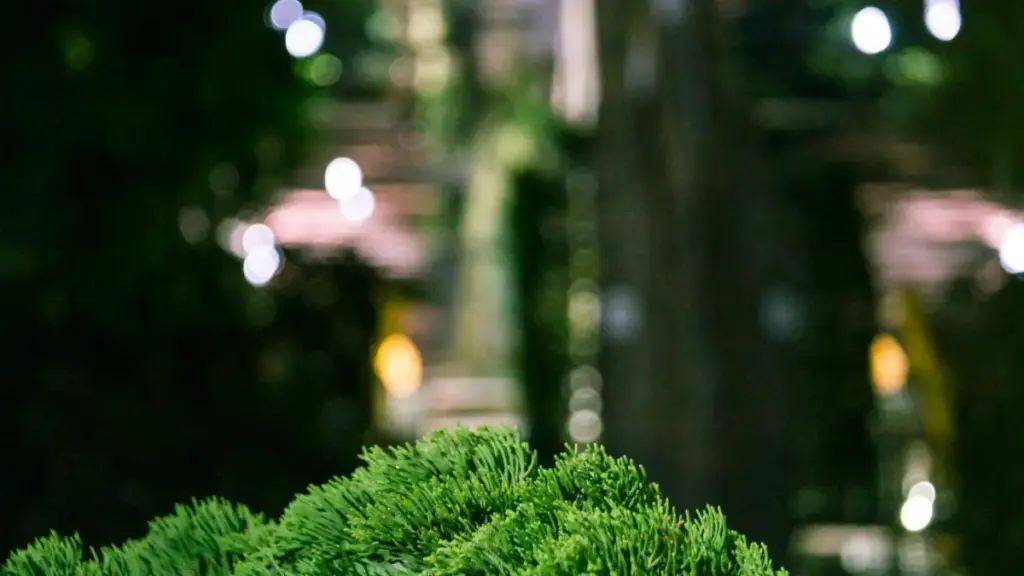 Mkakati wa hatua kwa hatua wa kumtafuta muundaji wa Netflix kutoka Venezuela kwa mfululizo wa mafunzo — jinsi ya kuchuja, kuwasiliana, na kuanzisha ushirikiano unaolipa.