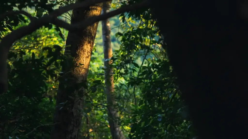 Mkakati wa mwanamitindo wa Tanzania kufikia Costa Rica brands kwenye Threads kabla ya uzinduzi: hatua, njia za kuongea, na tips za kujenga hype kwa kampeni za uzinduzi.