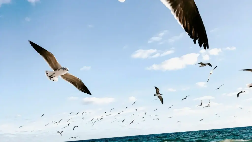 Njia halisi za kuwasiliana na brand za Italia zinazotangaza kwenye Disney Plus ili kushare codes za punguzo za muda mfupi — mikakati ya influencer, funnels, na mifano ya mazungumzo.