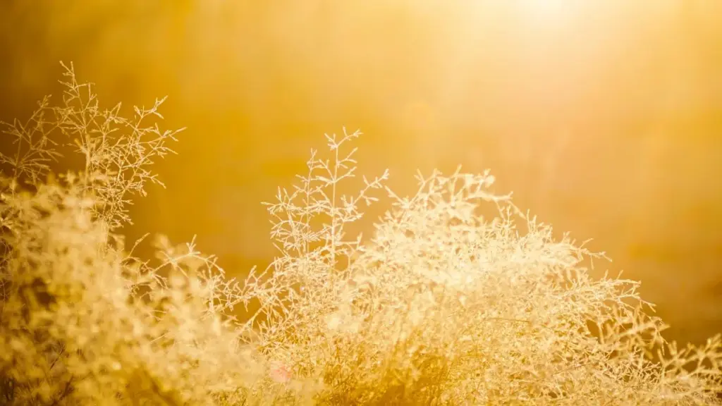 Mwongozo wa kimtaala kwa wauzaji Tanzania: jinsi ya kutafuta na kushirikiana na creators wa Reddit kutoka Bosnia na Herzegovina ili kuongeza installs kupitia streamers.