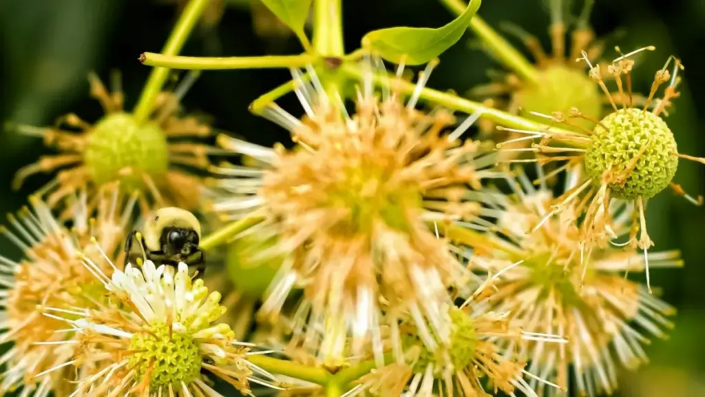 Mwongozo wa praktiki kutoka BaoLiba: mikakati za kutafuta na kushirikiana na Spotify creators wa Colombia kwa kampeni za esports, pamoja na kesi ya Bitget na vidokezo vya uchaguzi wa washirika.