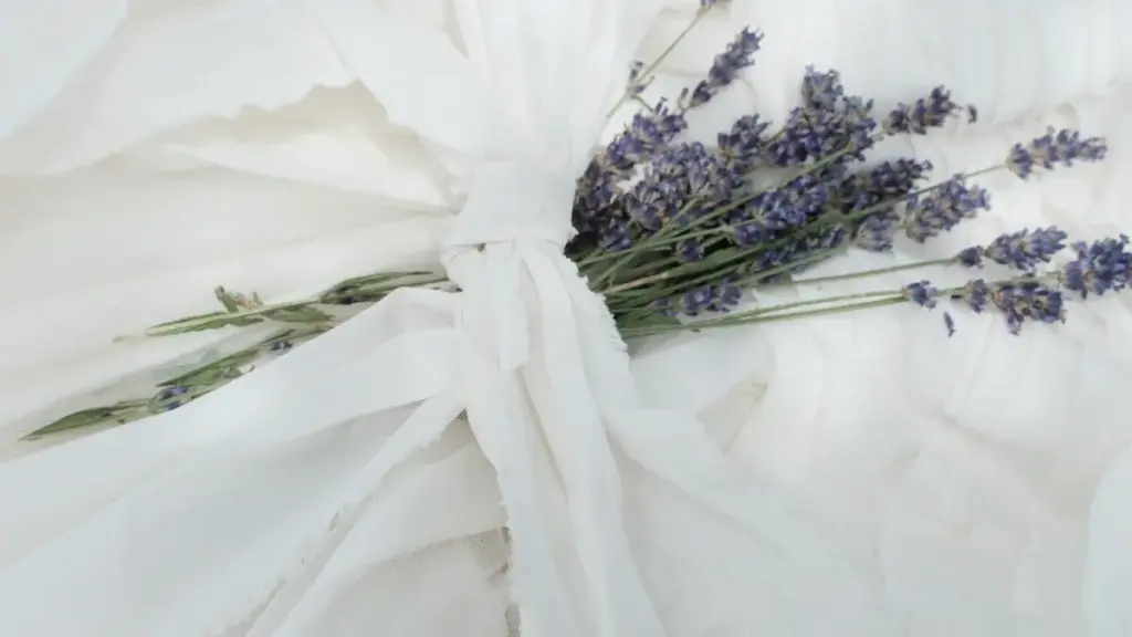 Mwongozo wa hatua kwa hatua kwa waundaji Tanzania: jinsi kupata sampuli za bure kutoka kwa brand za Oman kupitia Viber, njia za mawasiliano, usalama, na tips za kampeni.