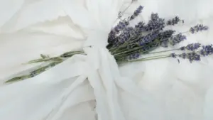 Mwongozo wa hatua kwa hatua kwa waundaji Tanzania: jinsi kupata sampuli za bure kutoka kwa brand za Oman kupitia Viber, njia za mawasiliano, usalama, na tips za kampeni.