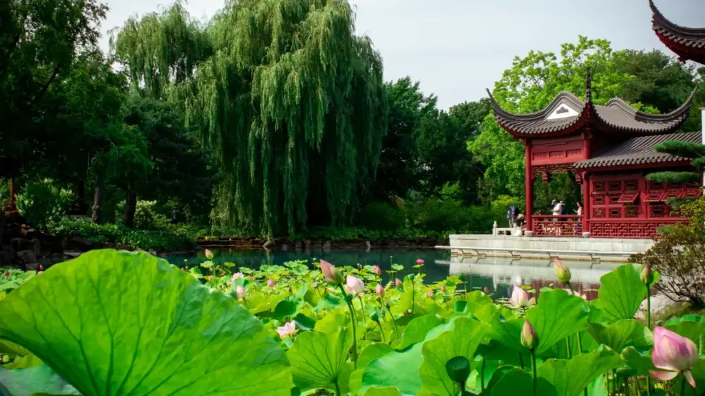 Mwongozo wa Tanzania juu ya jinsi ya kutafuta na kushirikiana na Armenia creators kwenye Roposo ili kuongeza uonekano wa brand zako za clean beauty.