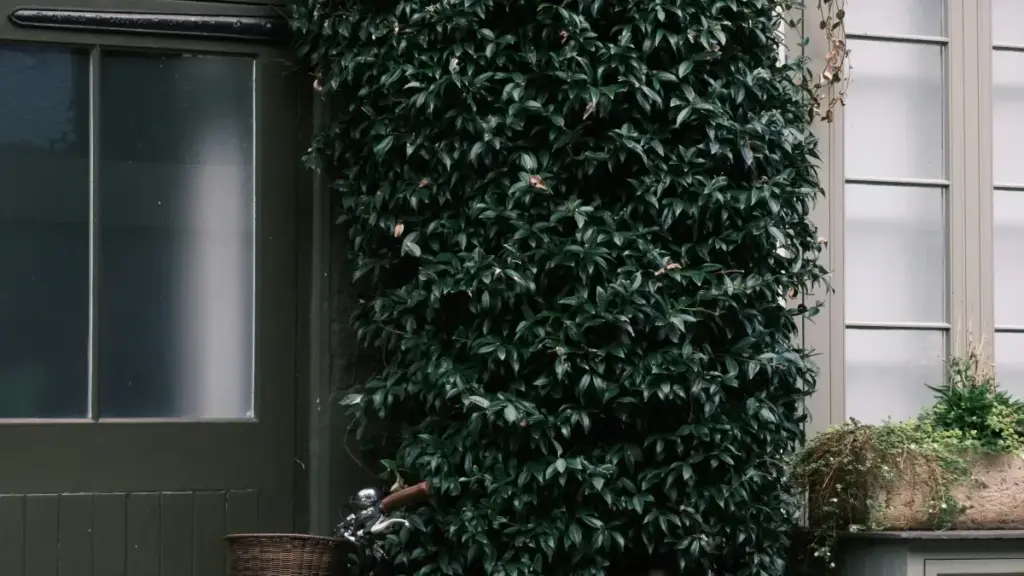 Mwongozo wa hatua kwa hatua kwa wauzaji na wakala Tanzania: jinsi ya kutafuta na kufanya kazi na creators wa Lazada Ujerumani kwa vlogs za matukio, mikakati ya outreach, na tips za ku-convert mtazamo kuwa mauzo.