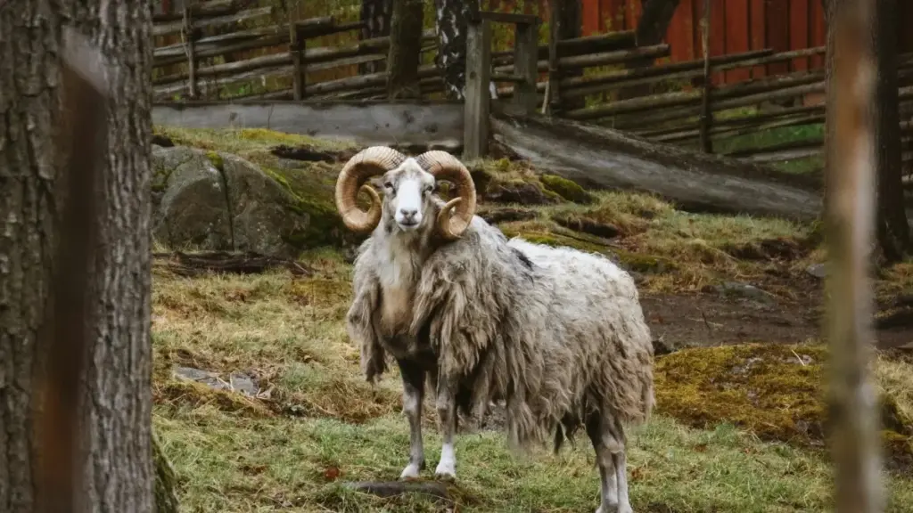 Mwongozo wa hatua kwa hatua kwa waundaji Tanzania: jinsi ya kuwafikia chapa za Kazakhstan kwenye Instagram kwa kushiriki before-and-after, kutumia SEO ya app, AR, na mbinu za ushirikiano mwaka 2026.