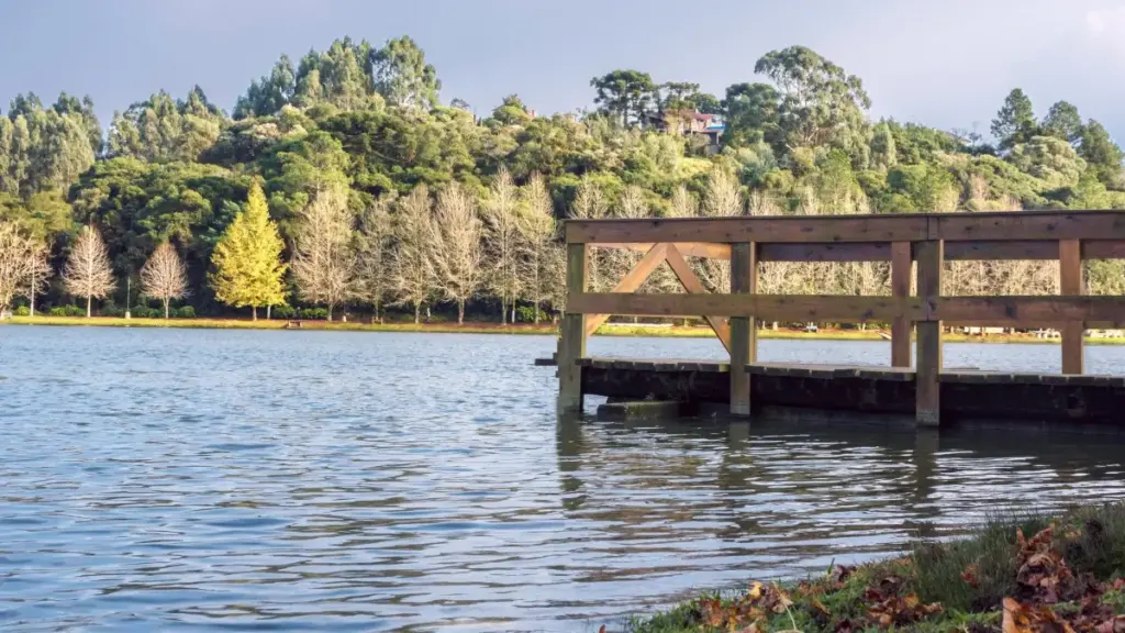 Mwongozo wa hatua kwa hatua kwa wauzaji Tanzania: jinsi ya kutafuta na kushirikiana na YouTube creators kutoka Uzbekistan ili kuongeza mauzo ya duka mtandaoni.