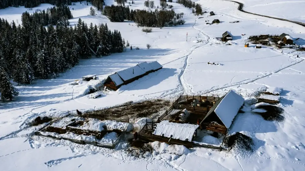 Mwongozo wa vitendo kwa wauzaji Tanzania: jinsi ya kutafuta, kuwasiliana na kuwajaribu creators wa Xiaohongshu wa Egypt kwa product concept testing.