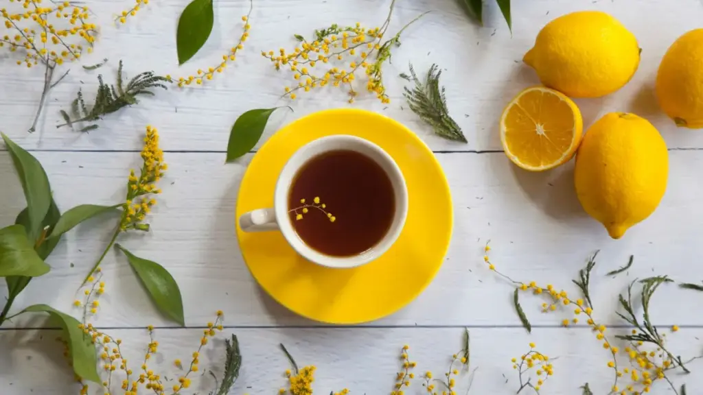 Msinari wa hatua za kupata na kushirikiana na kreator wa Bulgaria kwenye KakaoTalk kwa co‑branded drops, pamoja na mikakati ya outreach, verification, na logistics.