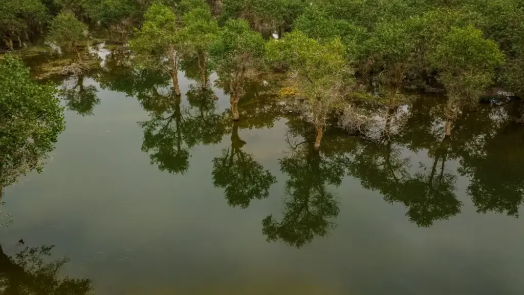 Mwongozo wa vitendo kwa wauzaji Tanzania: jinsi ya kutafuta, kuamua na kuajiri Facebook creators kutoka Myanmar kwa kampeni za affiliate influencer.