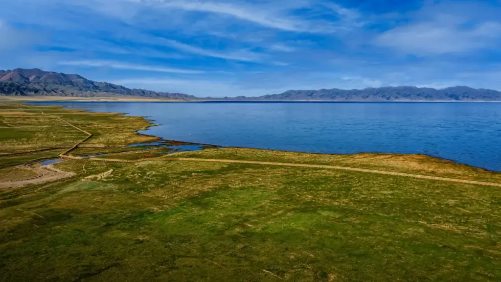 Mwongozo wa hatua kwa hatua kwa wauzaji Tanzania: jinsi ya kutafuta na kushirikiana na creators wa UAE walioko kwenye Netflix cycle kwa product seeding, pamoja na mikakati ya mawasiliano, kuonyesha thamani, na hatari za soko.