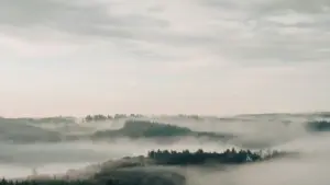 Mwongozo wa vitendo kwa wauzaji Tanzania: jinsi ya kutambua, kuwasiliana na kutumia creators wa Uruguay kwenye Rumble kwa mfululizo wa tutorial zinazong'aa.