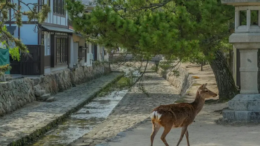 Njia halisi za kupata na kuajiri Instagram creators wa Cyprus kwa kampeni za engagement—mikakati ya lokal, vidokezo vya due diligence, na jinsi kutumia data ya 2024–2026 kufanya kazi yenye ROI.