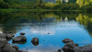 Mwongozo wa vitendo kwa wauzaji Tanzania jinsi ya kutafuta na kushirikiana na YouTube creators wa Serbia ili kuendesha product awareness kimataifa; mikakati, zana, na hatari za compliance.