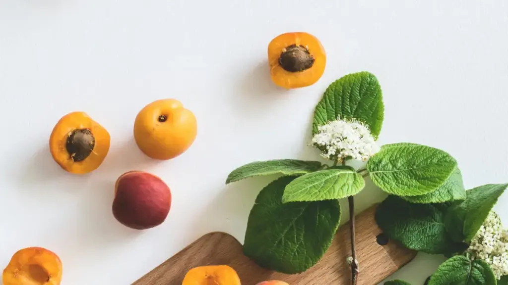 Mwongozo wa vitendo kwa watangazaji Tanzania: jinsi ya kuwatafuta na kujenga mahusiano na creators wa Sweden kwenye Shopee kwa product seeding, mikakati ya long-term na vipimo vyenye maana.