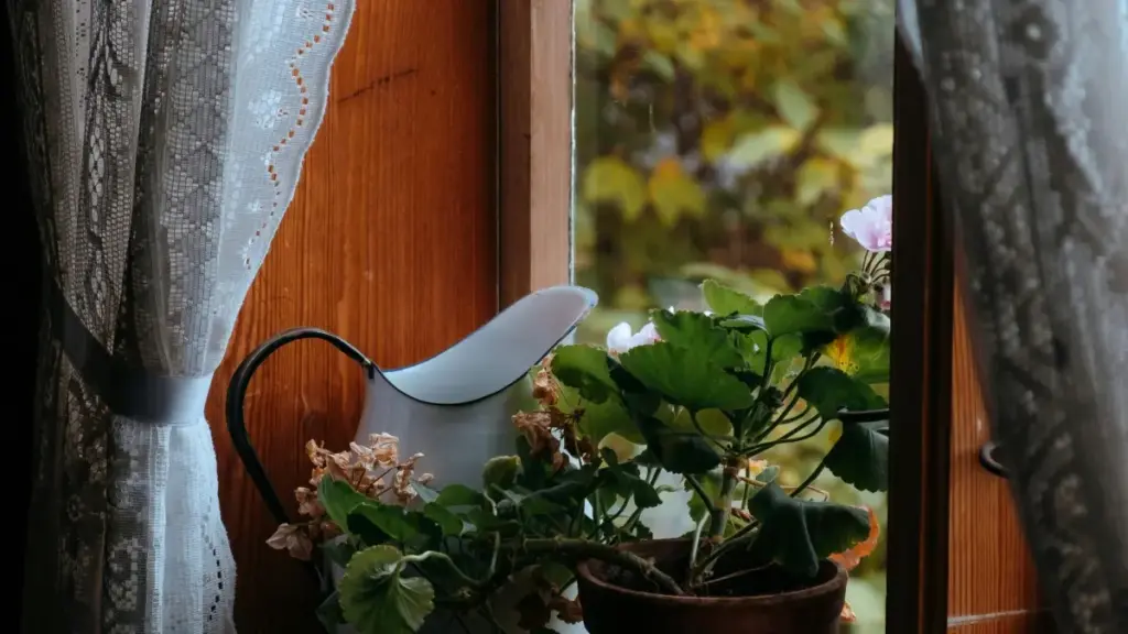 Mwongozo wa hatua kwa hatua kwa creators Tanzania: jinsi ya kuwafikia brand za Finland zinazohusiana na Disney Plus, kufanya unboxing na review za PR packages kwa njia ya kitaalamu na kuzuia hatari.