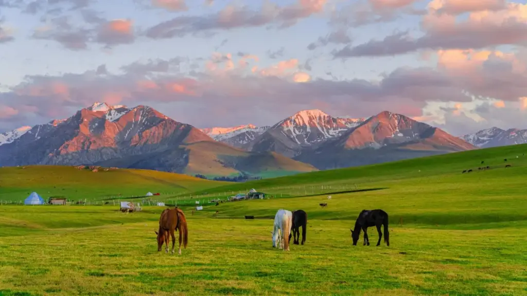 Mwongozo wa vitendo kwa watangazaji Tanzania: njia za kuwakataza, kuwasiliana na kufanya kazi na creators wa Telegram kutoka Azerbaijan kwa kampeni za influencer.