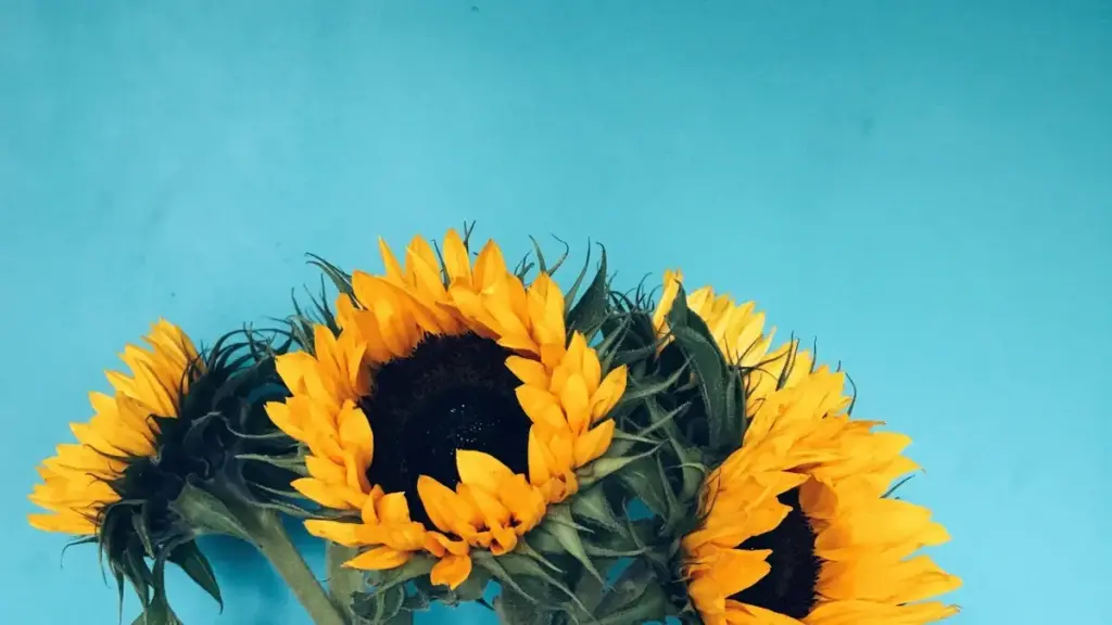 Mwongozo wa vitendo kwa creators Tanzania: jinsi ya kuwasiliana na brand za Ufaransa kwenye Reddit kuomba review za feature za game, mikakati, hatari na hatua za kufuata.