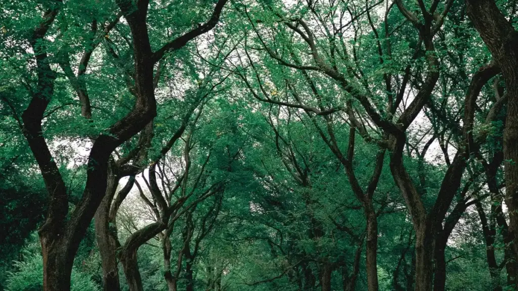 Mwongozo wa kimtaani kwa creators Tanzania: jinsi ya kuwafikia na kushirikiana na brand za Slovenia kupitia Viber, kuunda outfits za brand na kushinda collab.