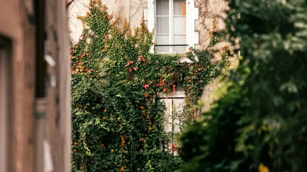 Njia halisi na za kiufundi za kutafuta na kushirikiana na creators wa Portugal kwenye Reddit ili kuinua uonekano wa vivutio vya safari — kwa wasimamizi wa matangazo Tanzania.