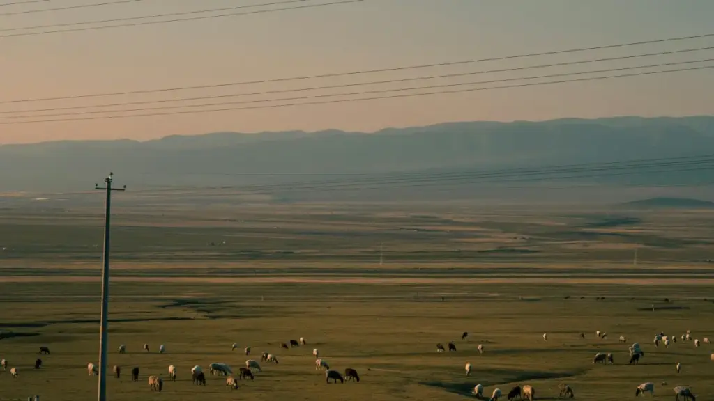 Mwongozo wa hatua kwa hatua kwa wauzaji nchini Tanzania: jinsi ya kutafuta na kushirikiana na creators wa U.K. wanaofanya Disney Plus content kwa kampeni za giveaway.