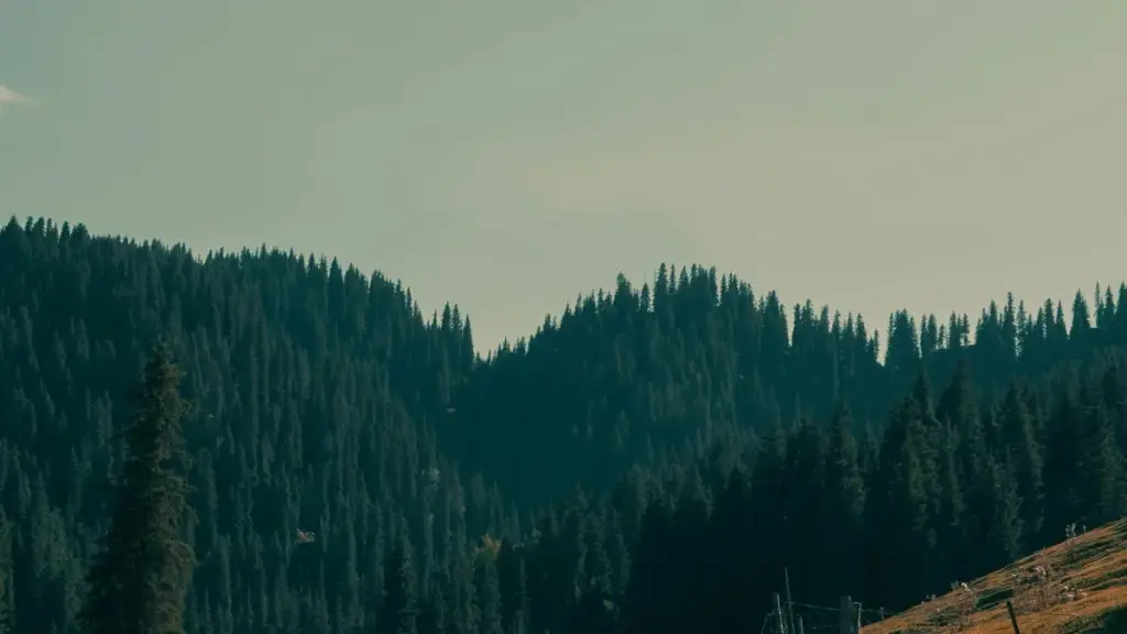 Jinsi kampuni za Tanzania zinavyoweza kupata na kushirikiana na creator wa Poland kwenye Zalo kwa kampeni za unboxing zinazovirusi — mikakati, hatari za usalama, na hatua za utekelezaji.