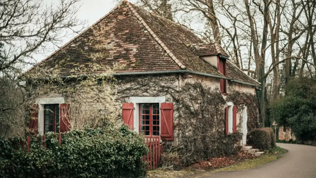 Mkakati wa mtaalamu wa creator kutoka Tanzania: hatua za kufikia brand za Ireland kwenye Pinterest, kuandaa live demos, na kufanya deal za ushirikiano kwa matokeo halisi.