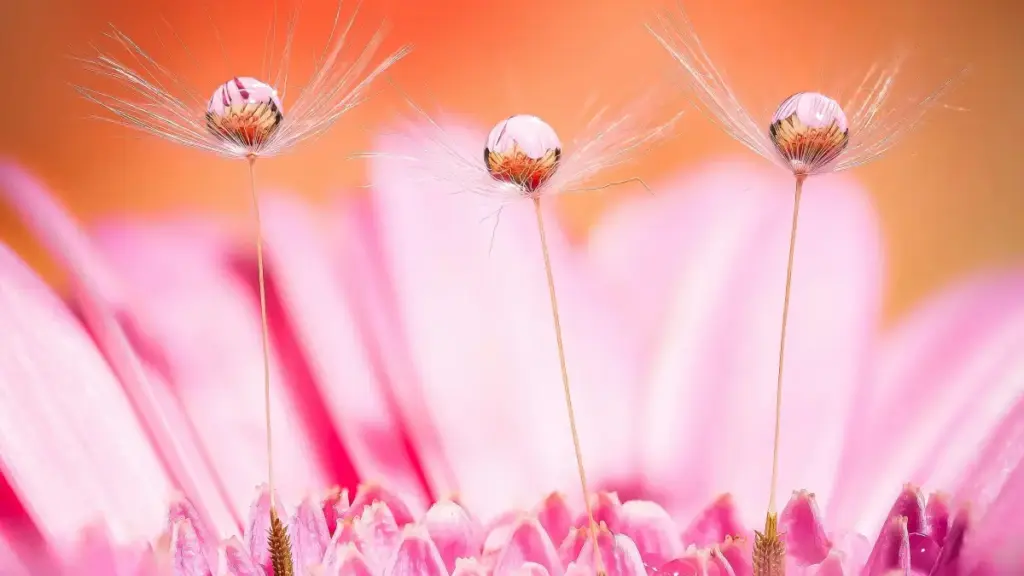 Mwongozo wa vitendo kwa wauzaji Tanzania: jinsi ya kutafuta na kuchagua creators wa Slovenia kwenye Instagram kwa kampeni zinazolenga engagement, ikijumuisha tools za Meta, data, na mikakati ya kufanya collab iburute.