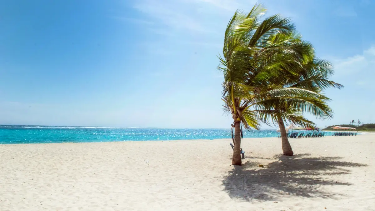 Jinsi ya kuwafikia Costa Rica Brands kwenye LinkedIn