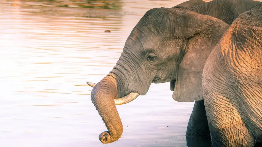 Mwongozo wa creator wa Tanzania wa kuwafikia Spain brands kwenye Twitch kwa collab za wellness, kutoka pitch hadi content inayovutia na kuuza.