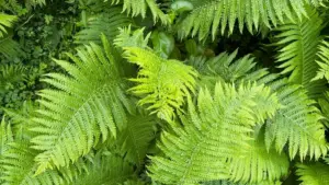 Jinsi ya kuwatafuta na kuwachuja creators wa TikTok Tanzania ili kuongeza mwonekano wa bidhaa kwa exposure halisi, si kelele tu.